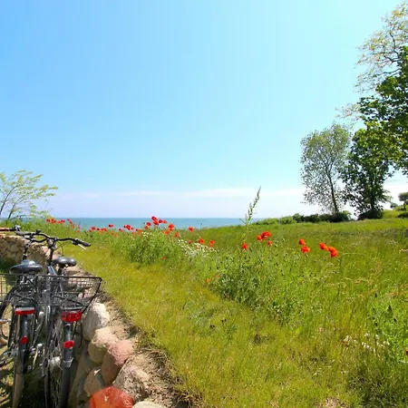 Апартаменты Rex Rugia Fewo12-1 Mit Schwimmbad Und Saunanutzung Im Ahoi-erlebnisbad Sellin *