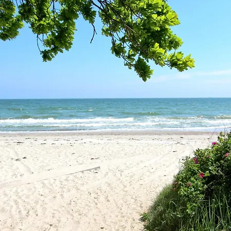 Rex Rugia Fewo12-1 Mit Schwimmbad Und Saunanutzung Im Ahoi-erlebnisbad Sellin